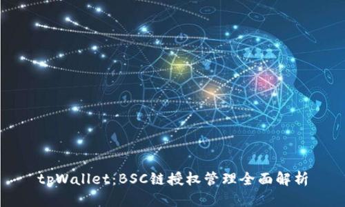 tpWallet：BSC链授权管理全面解析