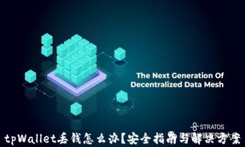 
tpWallet丢钱怎么办？安全指南与解决方案